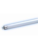 F28T5/850 28W 4 ft T5 Linear Fluorescent Lamp 5000K 48 In. [Case of 50]