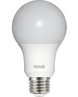 RAB Lighting A19-6-E26 6-Watt A19 Frosted Bulb Non-Dimmable 40W Incandescent Equivalent