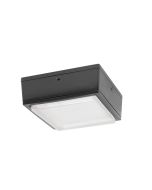 Main Image RAB Lighting VANLED75 75 Watt Vandal Resistant LED Canopy Light Fixture