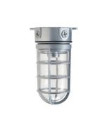 Maxlite JJC12001 101443 LED Vaporproof Jelly Jar Ceiling Mount Fixture Includes 9 Watts A19 Lamp E26 Base 3000K