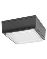 RAB Lighting VANLED10 10 Watt Vandal Resistant LED Canopy Light Fixture