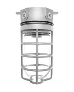 RAB Lighting VX100DG 150 Watt Vaportight Jar Style Fixture with Glass Globe Die Cast Guard