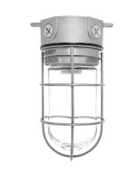 RAB Lighting VX100G 150 Watt Vaportight Jar Style Fixture with Glass Globe Wire Guard