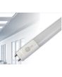 GE Lighting LED16BDT8/G4 DLC Listed 16 Watt 4-Ft LED Ballast Bypass Glass Linear Tube Lamp 120-277V