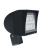 RAB Lighting FXLED78T 78 Watts LED Floodlight Fixture Trunnion Mount with All Options