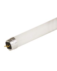 GE Lighting 34280 LED10ET8/G/4/840 DLC Listed 10 Watt LED Type A T8 Linear Glass Tube Lamp Dimmable 4000K