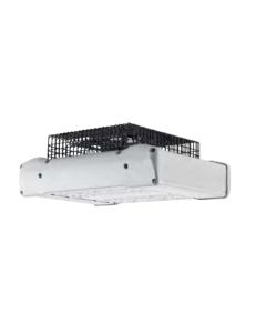 CREE PKG-EDG Edge Series LED Parking Structure Light Fixture 5000K