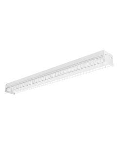Toggled FS420W0 4FT LED 2 Tube Capacity Surface Mount Fixture with Wire Guard