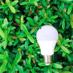 The Significance of Energy-Efficient Lighting Supplies for Builders