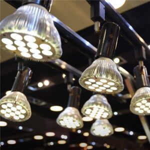 Future Trends in Indoor Lighting